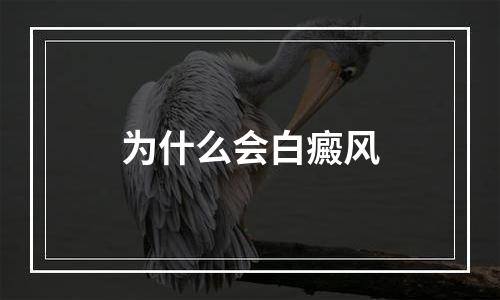 为什么会白癜风