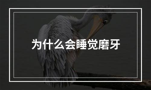 为什么会睡觉磨牙