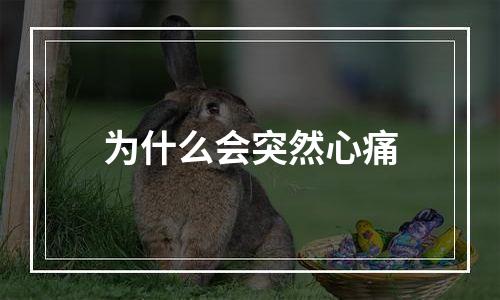 为什么会突然心痛