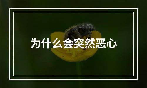 为什么会突然恶心