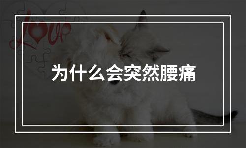 为什么会突然腰痛