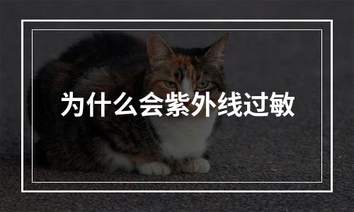 为什么会紫外线过敏