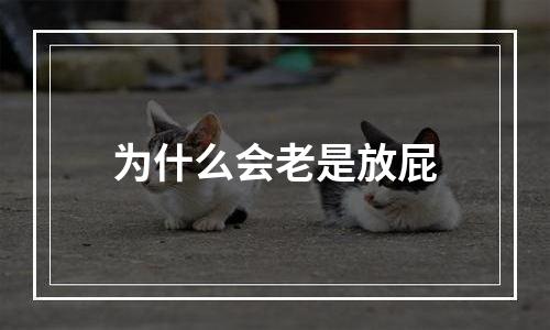 为什么会老是放屁