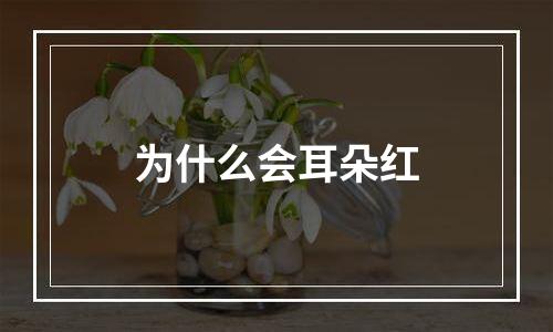 为什么会耳朵红