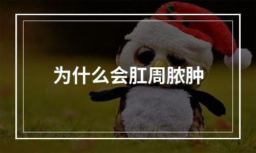 为什么会肛周脓肿