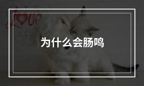 为什么会肠鸣