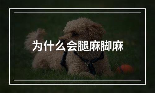 为什么会腿麻脚麻