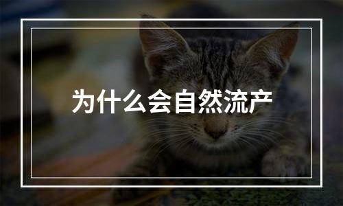 为什么会自然流产