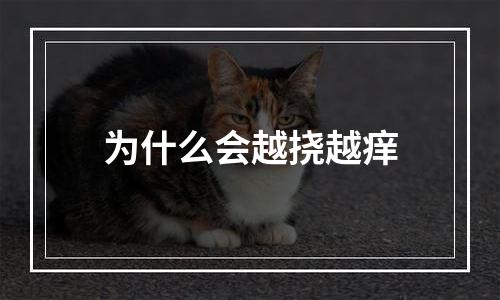 为什么会越挠越痒