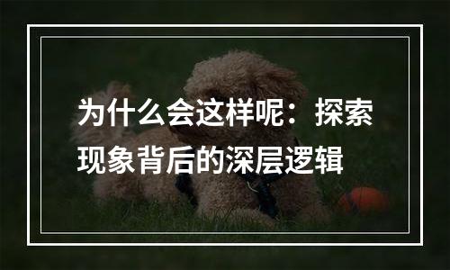 为什么会这样呢：探索现象背后的深层逻辑