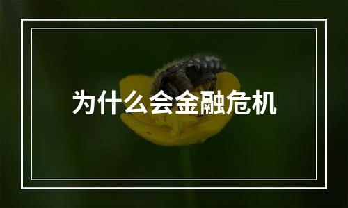 为什么会金融危机