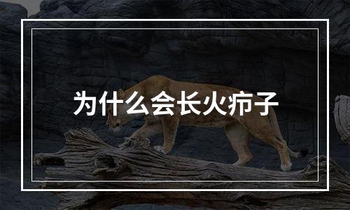 为什么会长火疖子