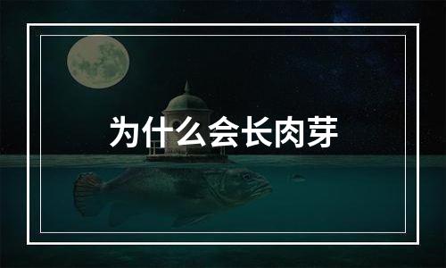 为什么会长肉芽