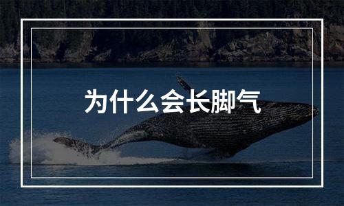 为什么会长脚气