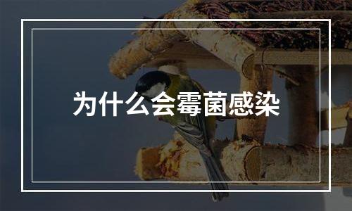 为什么会霉菌感染