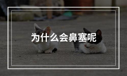 为什么会鼻塞呢