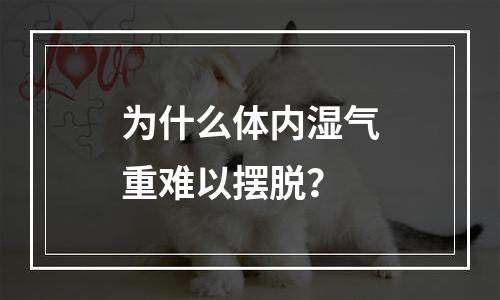 为什么体内湿气重难以摆脱？