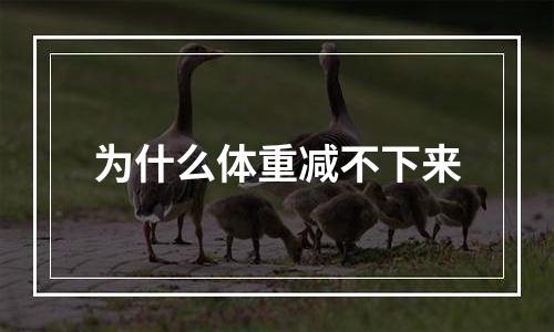 为什么体重减不下来