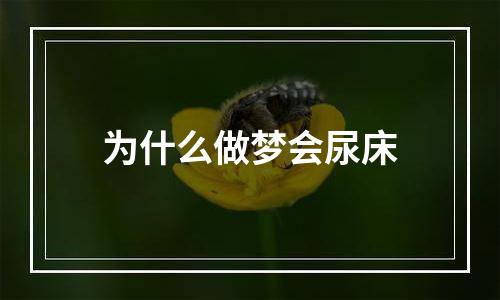 为什么做梦会尿床