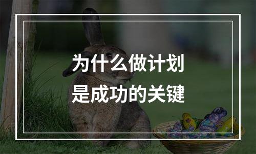 为什么做计划是成功的关键