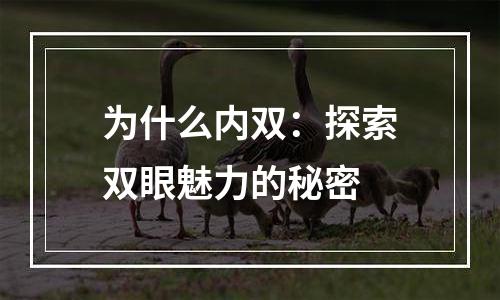 为什么内双：探索双眼魅力的秘密