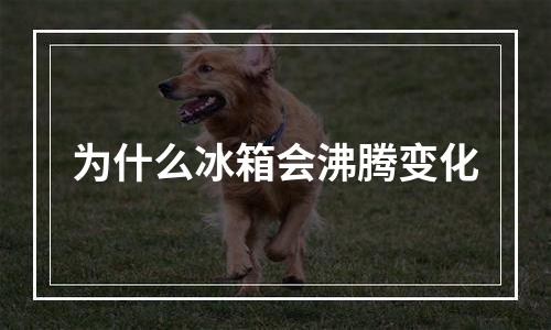 为什么冰箱会沸腾变化