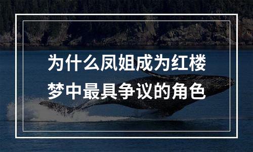 为什么凤姐成为红楼梦中最具争议的角色