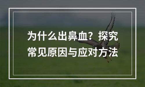 为什么出鼻血？探究常见原因与应对方法