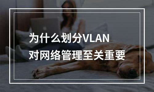 为什么划分VLAN对网络管理至关重要
