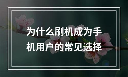 为什么刷机成为手机用户的常见选择