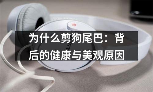 为什么剪狗尾巴：背后的健康与美观原因