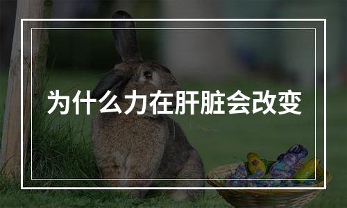 为什么力在肝脏会改变