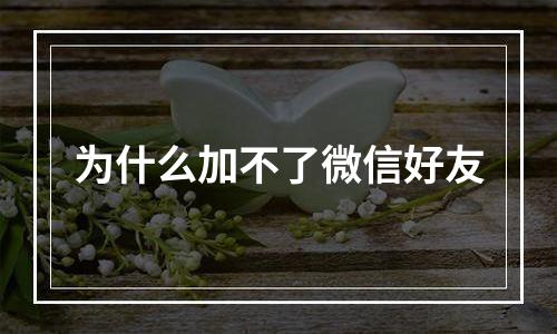 为什么加不了微信好友