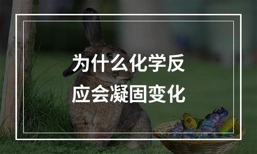 为什么化学反应会凝固变化