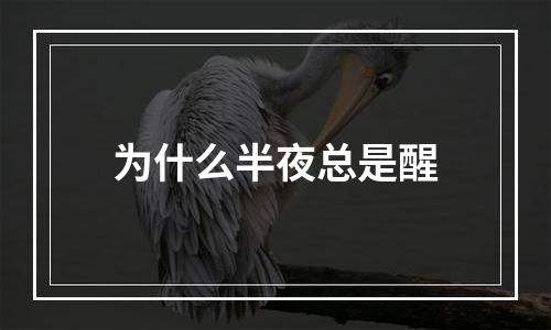 为什么半夜总是醒