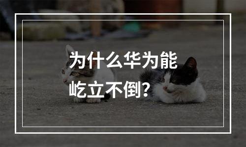 为什么华为能屹立不倒？