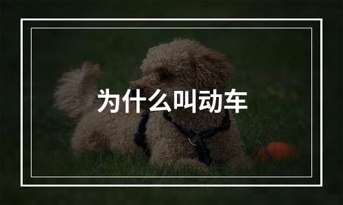 为什么叫动车