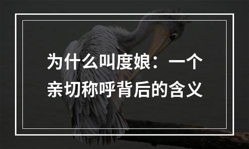 为什么叫度娘：一个亲切称呼背后的含义