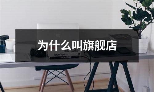 为什么叫旗舰店