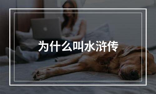 为什么叫水浒传