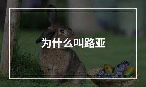 为什么叫路亚