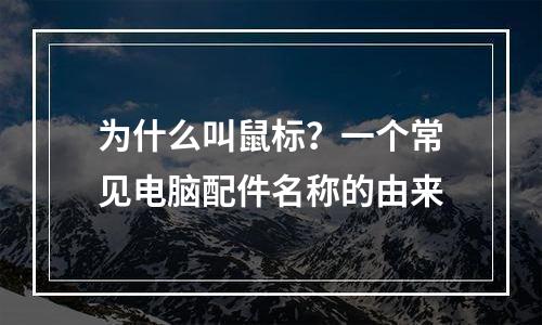 为什么叫鼠标？一个常见电脑配件名称的由来