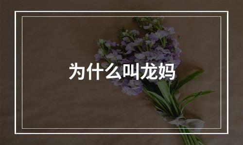 为什么叫龙妈