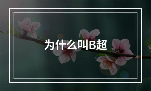 为什么叫B超