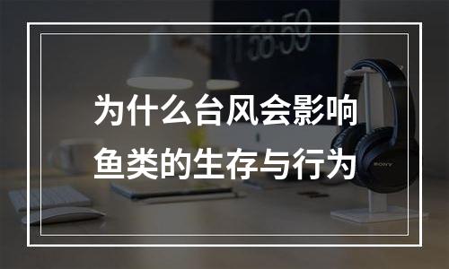 为什么台风会影响鱼类的生存与行为