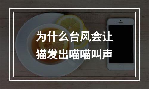 为什么台风会让猫发出喵喵叫声