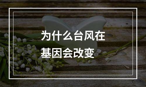 为什么台风在基因会改变