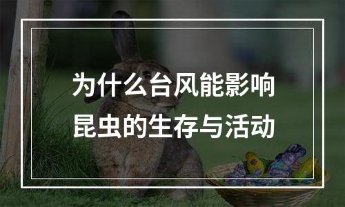 为什么台风能影响昆虫的生存与活动