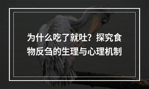 为什么吃了就吐？探究食物反刍的生理与心理机制