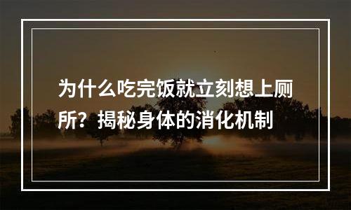 为什么吃完饭就立刻想上厕所？揭秘身体的消化机制